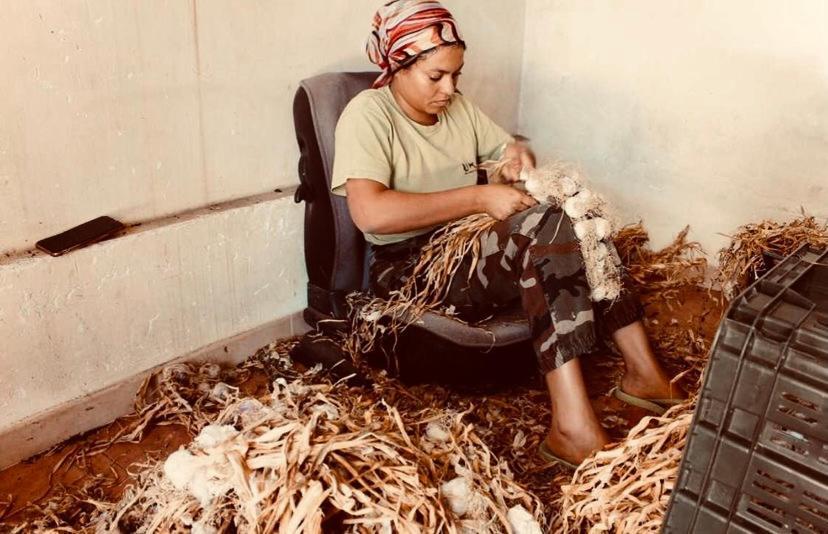 特拉帕尼Casa Artesano别墅 外观 照片